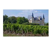 Wijnvoordeel 6 flessen | La Rose Pauillac | Rood | Frankrijk