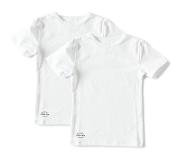 Little label T-shirt voor kids maat 110