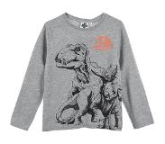 Jurassic World - longsleeve - jongens - 100% Jersey katoen - Grijs - maat 104