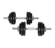 Gorilla Sports Gyronetics Dumbellset - Halterset - Gietijzer - 30 Kg - 25 Mm