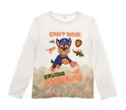 Ryhmä Hau Paw patrol-longsleeve-4y-wit