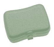 Koziol Basic groene lunchbox