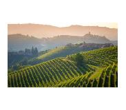 Wijnvoordeel 6 flessen | Malgra Barolo DOCG Marvenga | Rood | Italië