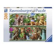 Ravensburger puzzel 500 stukjes Katjes in het rek
