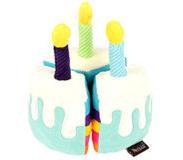 P.L.A.Y. Pet Bone-appetite Cake