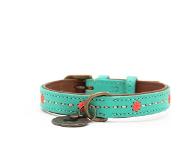 Dog with a Mission DWAM Halsband Janis