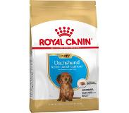 Royal Canin Dachshund Junior 1,5kg