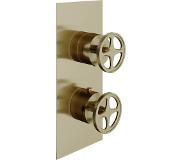 Blinq Flame afdekset 2weg douchethermostaat industriele greep bronze