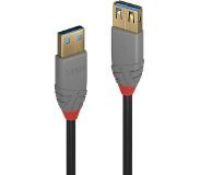 Lindy 36761 1m USB A USB A Mannelijk Mannelijk Zwart USB-kabel