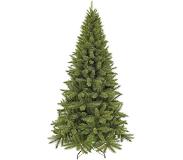 Triumph tree forest frosted smalle kunstkerstboom groen maat in cm: 120 x 69