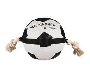 Karlie Flamingo KARLIE Piepend speelgoed ACTIONBAL VOETBAL L 22CM