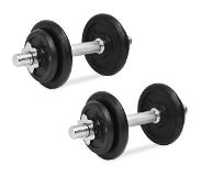 vidaXL Halterset 20kg Gietijzer 14-delig