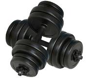 vidaXL Halters 2x15 Kg