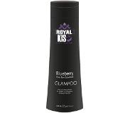 Royal KIS Glampoo Colorwash 250ml Blueberry