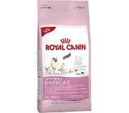 Royal Canin Droogvoer kat moeder en babycat 2 kg Royal Canin online kopen