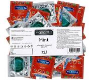 Pasante Mint Tingle Condooms Met Mint-smaak 144 stuks (grootverpakking)