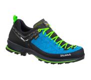 Salewa Heren MTN Trainer 2 GTX schoenen (Maat 45, Blauw)