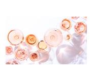 Wijnvoordeel 6 flessen | Wijnpakket Wijnvoordeel Huisfavorieten Rosé | Rose kopen
