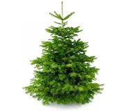 Nordmann | Kerstboom Nordmann none groen 180x100x180 cm kerstbomen | NADUVI