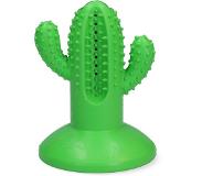Afp - Dental Cactus Large Green 15cm - (AFPH04198)