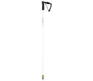 Head Ski Skistok HEAD Worldcup Rebels Carbon White / Black-115 cm
