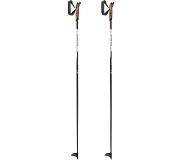LEKI Xta Base Poles Zilver 125 cm