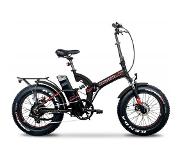 Argento Bike E-bike Bi Max Rood