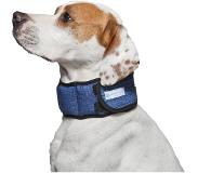Aqua Halsband voor hond aqua coolkeeper pacific blue 30-34x4 cm