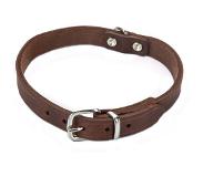 Beeztees Halsband Hond Leer