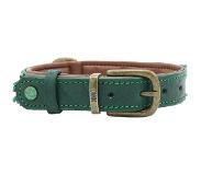 Dog with a Mission DWAM Halsband Ivy