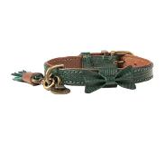 Dog with a Mission DWAM Halsband Bowie