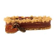 Dog with a Mission DWAM Halsband Teddy
