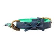 Dog with a Mission DWAM Halsband Buster