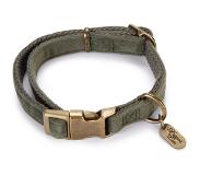 Designed By Lotte Hondenhalsband Velura