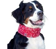 Aqua Halsband voor hond aqua coolkeeper red western 46-53 cmx7 cm