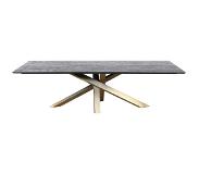 Ptmd collection PTMD Alore brown gold diningtable rectangle 200 cm (200x100x77cm)