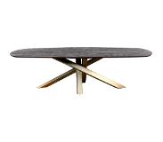 Ptmd collection PTMD Alore black gold diningtable oval 240 cm (240x100x77cm)