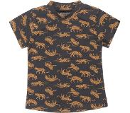 DJ Dutchjeans T-shirt voor kids maat 104