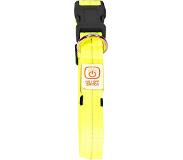 Ebi Duvo+ Halsband Nylon Flash Leucht USB