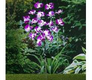 Huismerk Premium Orchidee LED Verlichting Op Zonne-energie - 75 Cm