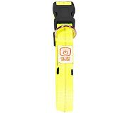 Ebi Duvo+ Halsband Nylon Flash Leucht USB