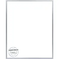Homedecoration Kampen– Fotolijst – Fotomaat – 39x85 cm– Aluminium – Zilver hoogglans