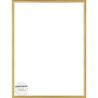 Homedecoration Almelo – Fotolijst – Fotomaat – 51 x 79 cm – Vintage Goud