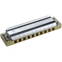 Hohner DIATONIC 2009/20 MARINE BAND CROSSOVER 10 HOLES D