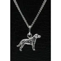 MOOYE ® - Collectie Zilveren Cao da castro laboreiro ketting hanger - klein