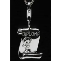 MOOYE ® - Collectie Zilveren Diploma hanger n bedel