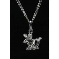 MOOYE ® - Collectie Zilveren Sterrenbeeld Waterman ketting hanger - klein