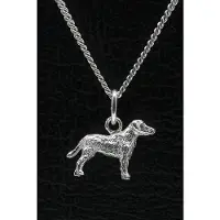MOOYE ® - Collectie Zilveren Chesapeake bay retriever ketting hanger - klein