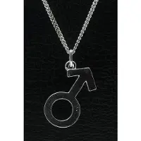 MOOYE ® - Collectie Zilveren Mannen teken ketting hanger - massief