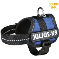JULIUS K-9 Stroomtuig voor grotere honden ergonomisch (L, XL, Hond, Hondensport), Kraag + Leiband